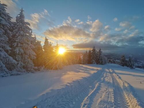 Schitul Sf. Nectarie