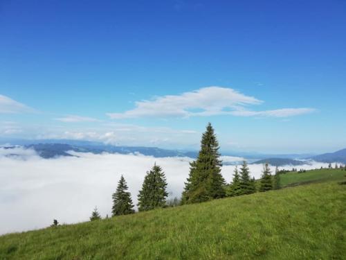 Schitul Sf. Nectarie